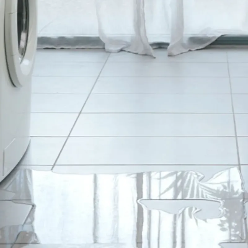 Appliance Leak Cleanup in Menard County, IL