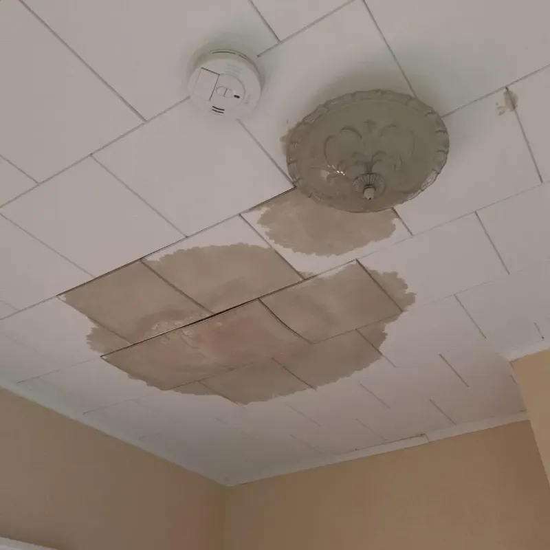 Ceiling Water Damage Repair in Menard County, IL
