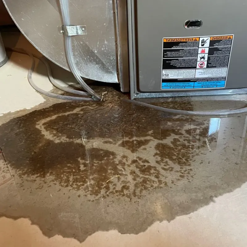 Pipe Burst and Leak Restoration in Menard County, IL
