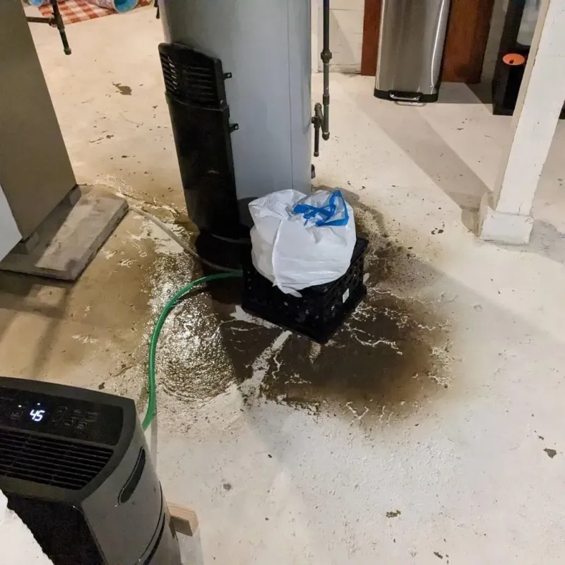 Sewage Backup Cleanup Service in Menard County, IL